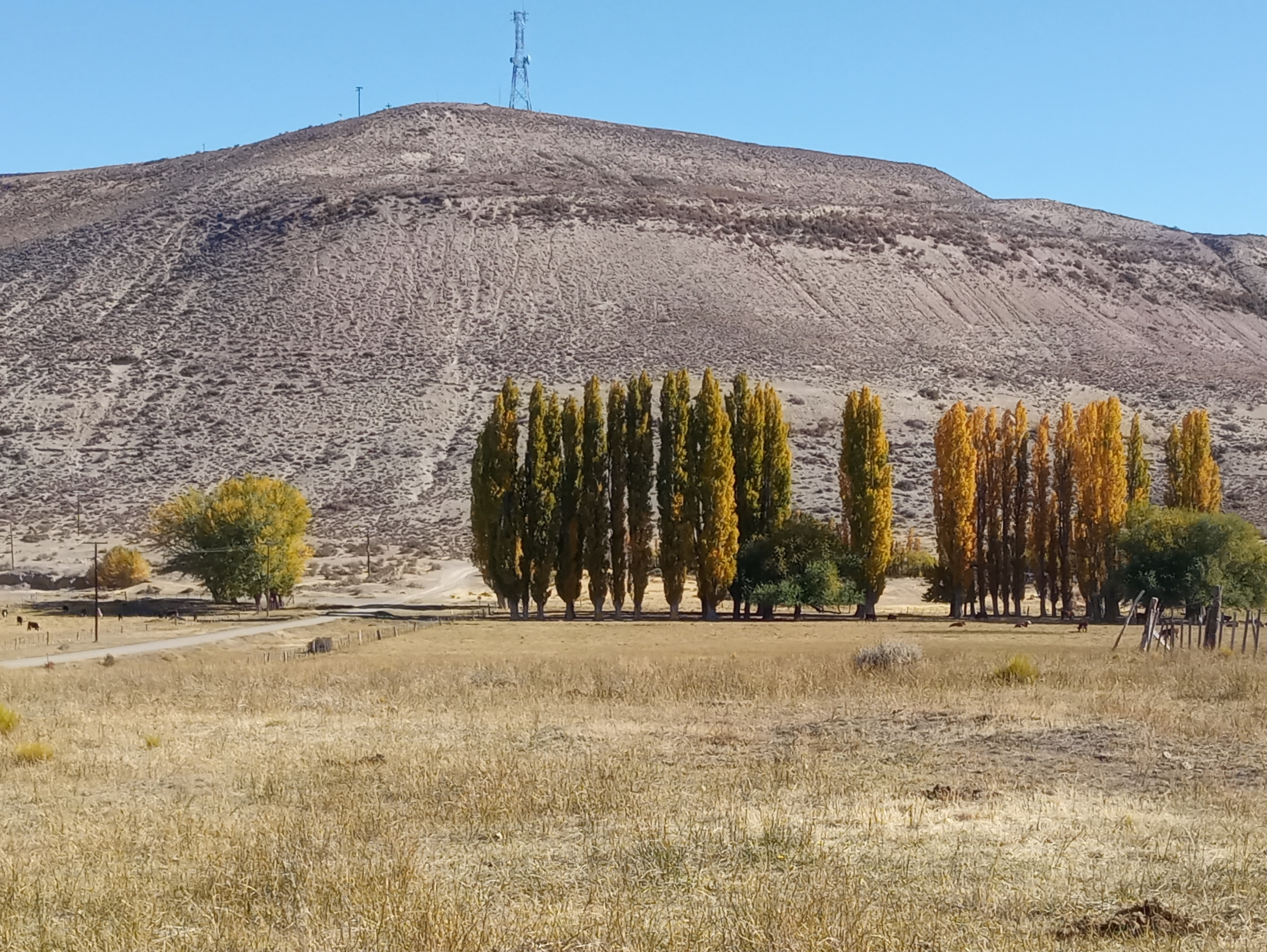 Foto de la torre Tecka